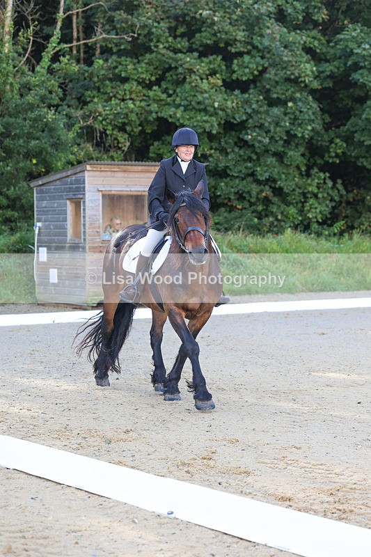 3E7A1844 - Class 1: Intro 4 2024 section A