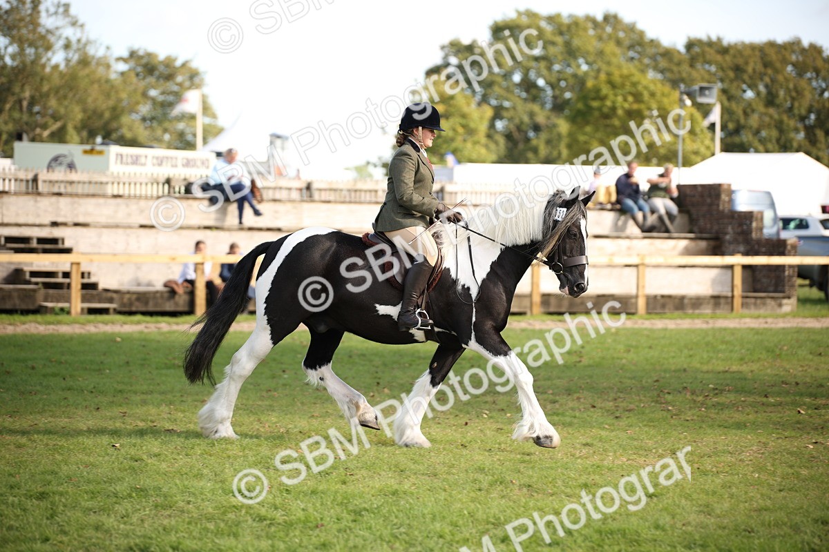 SBM_50134 - S26 - Young Veteran - Ridden