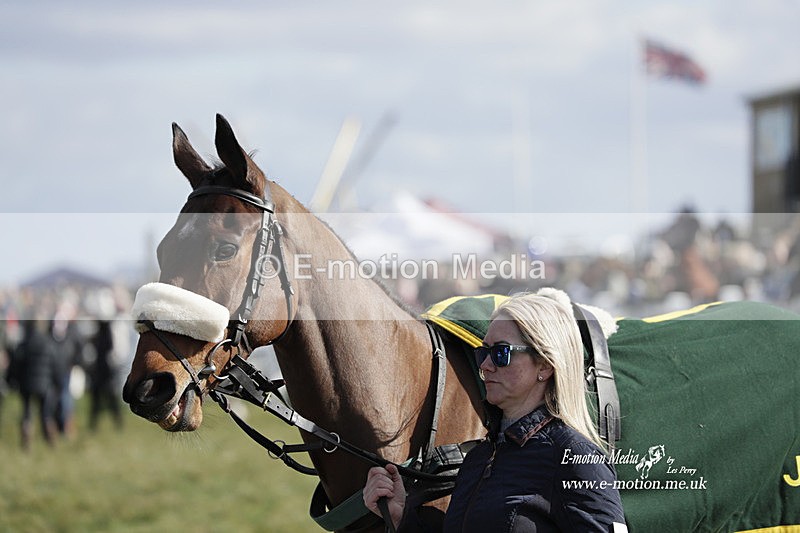 PtP 260223 360 - South & West Wilts Point-to-Point Larkhill 26/02/23