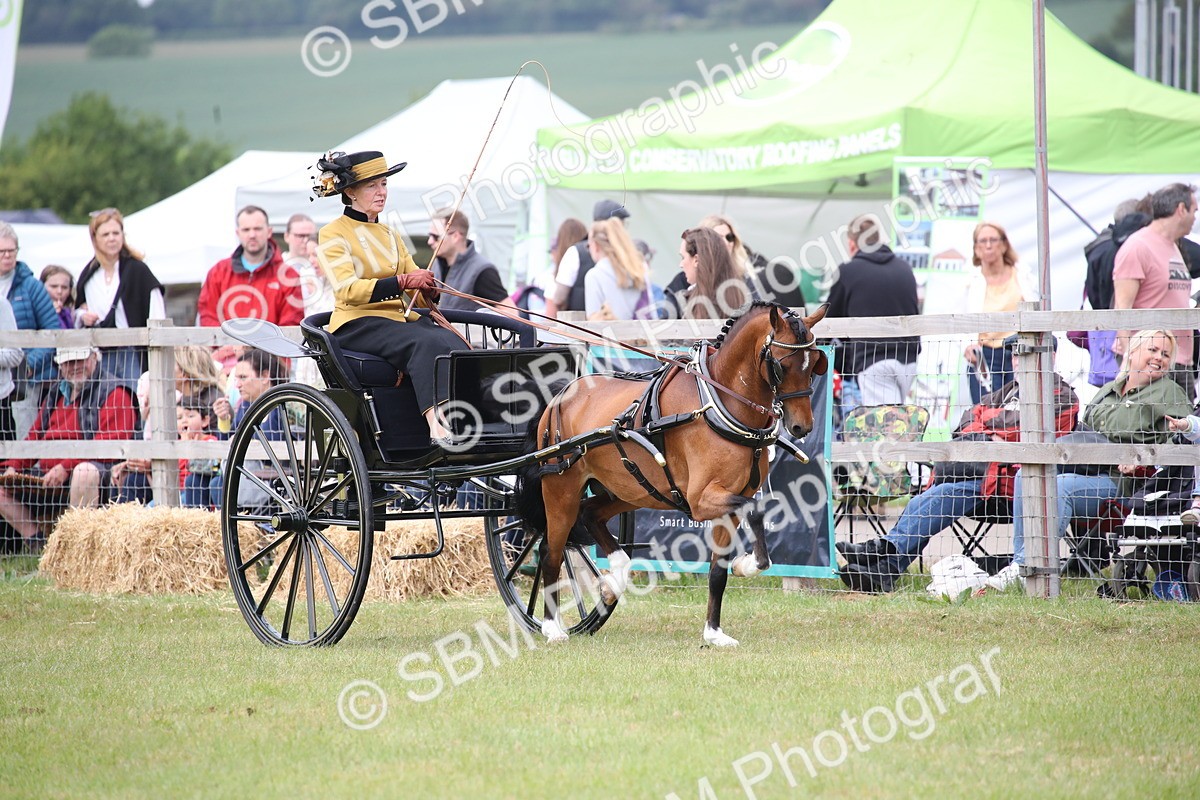 SBM_05906 - Class 12-15 - HOYS Private Driving