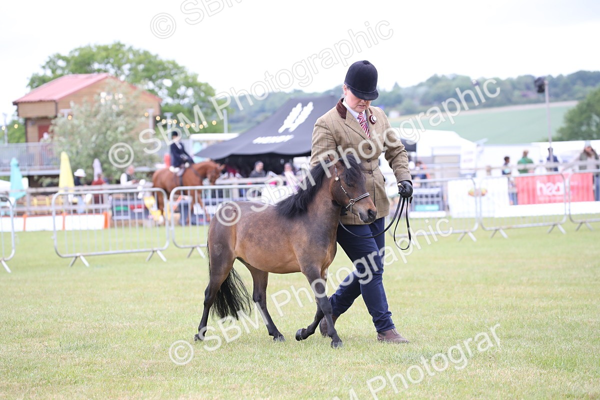 SBM_03531 - Class 23-25 - British Miniature Horse of the Year