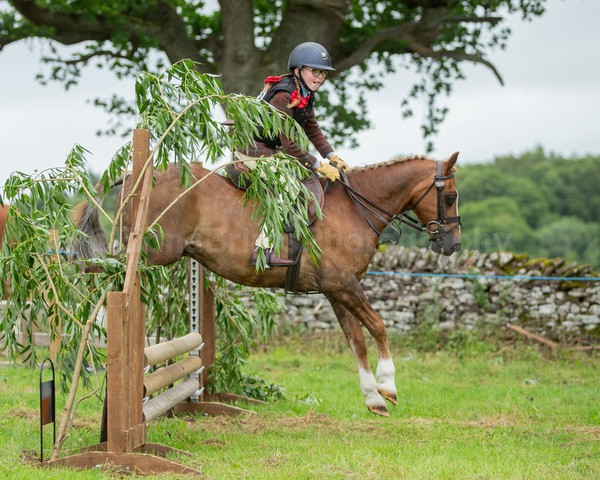 Dunblane show-256 - Dunblane and Doune Show Ring 1