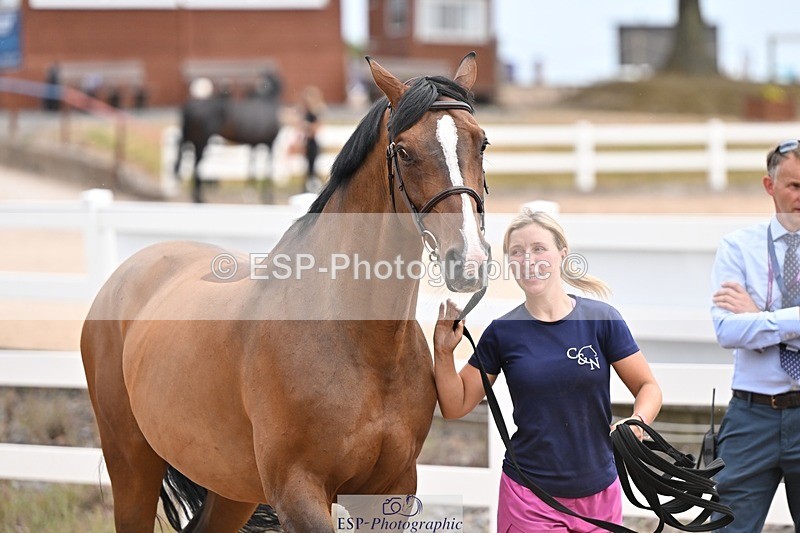 250716-151131-01739 - Trot Up 2.30 to 3.30