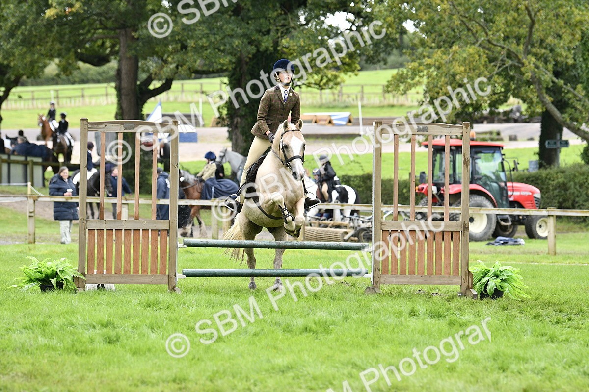 SBM_45592 - S33 - Working Hunter Pony