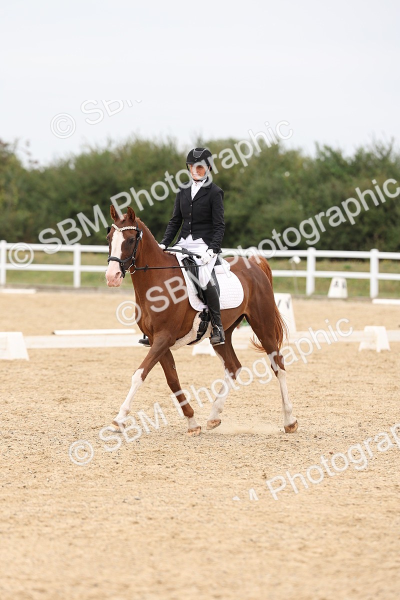 SBM_02065 - Class 8 - Novice 27 Champs
