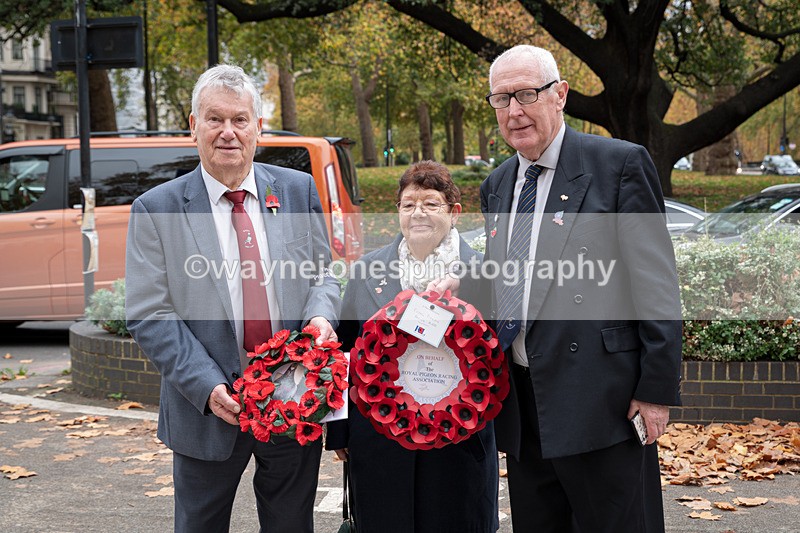 Z62_4427 - Animals In War Memorial 2025 - Park Lane, London