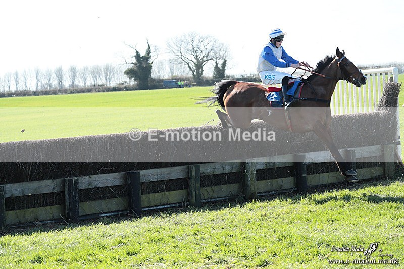 PtP 210326 115 - VWH Cirencester Races 21/03/26