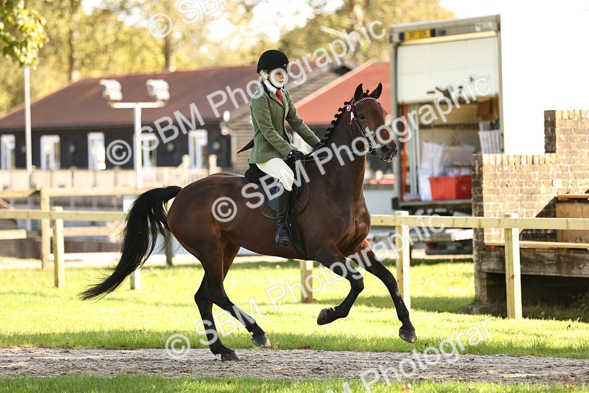 SBM_16983 - S2 - TSR Ridden Pony Showing