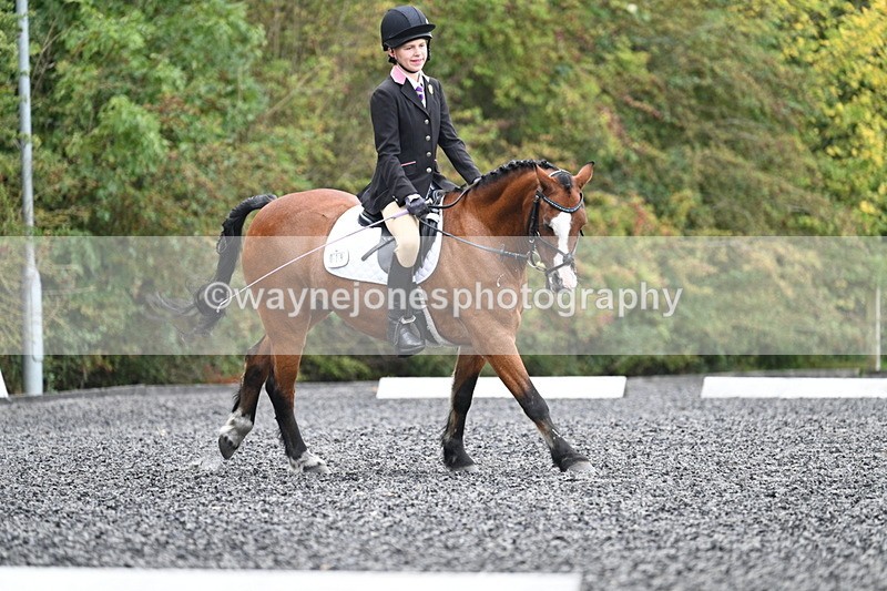 WJ7_4024 - Time 11:04 to 11:38