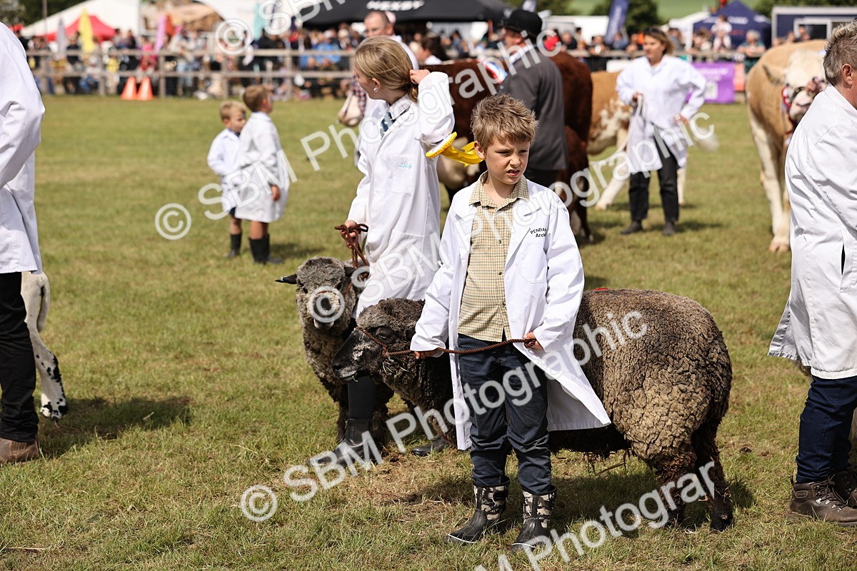 SBM_16927 - Grand Parade