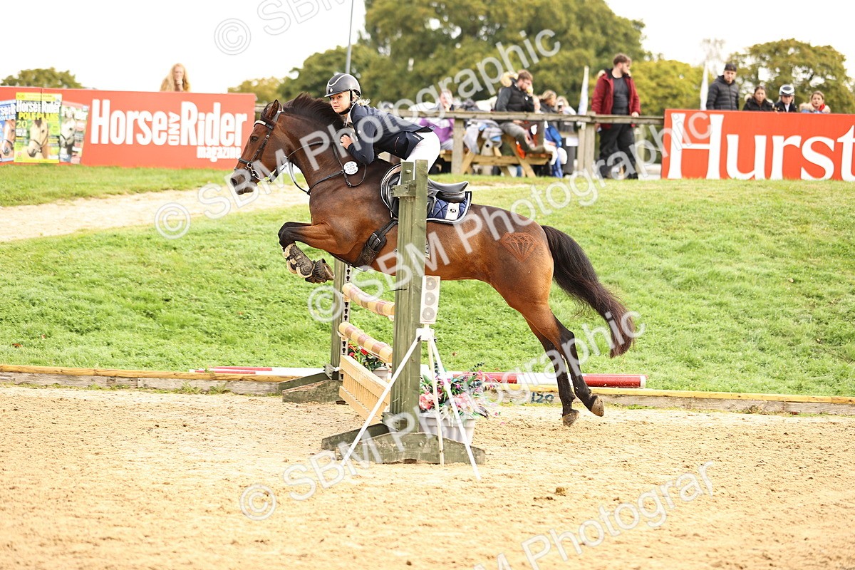 SBM_58425 - J41 - Grand Tour Horse & Pony 95cm