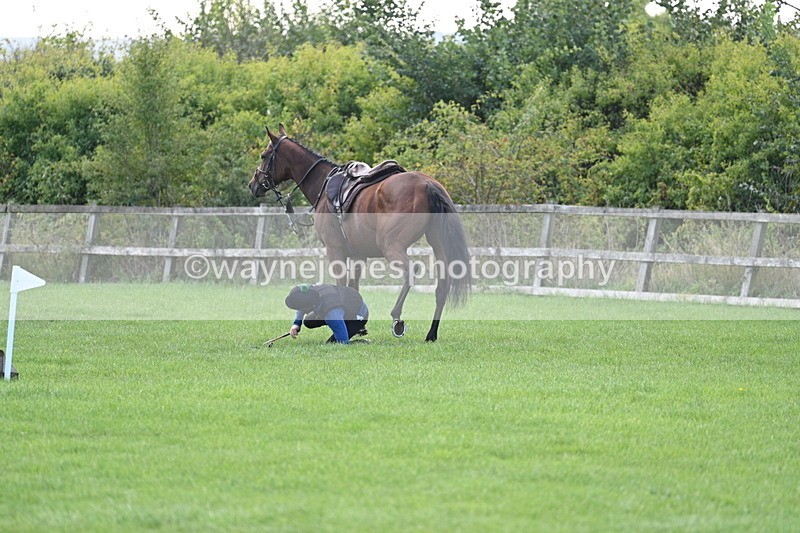 WJ7_0957 - Time 13:30 to 13:54