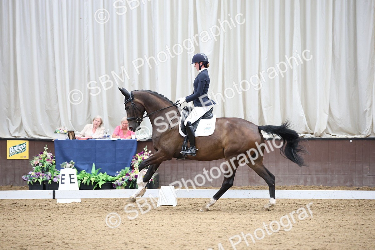 SBM_003389 - Class 5 - Novice 6 Gold - 13.05-14.00