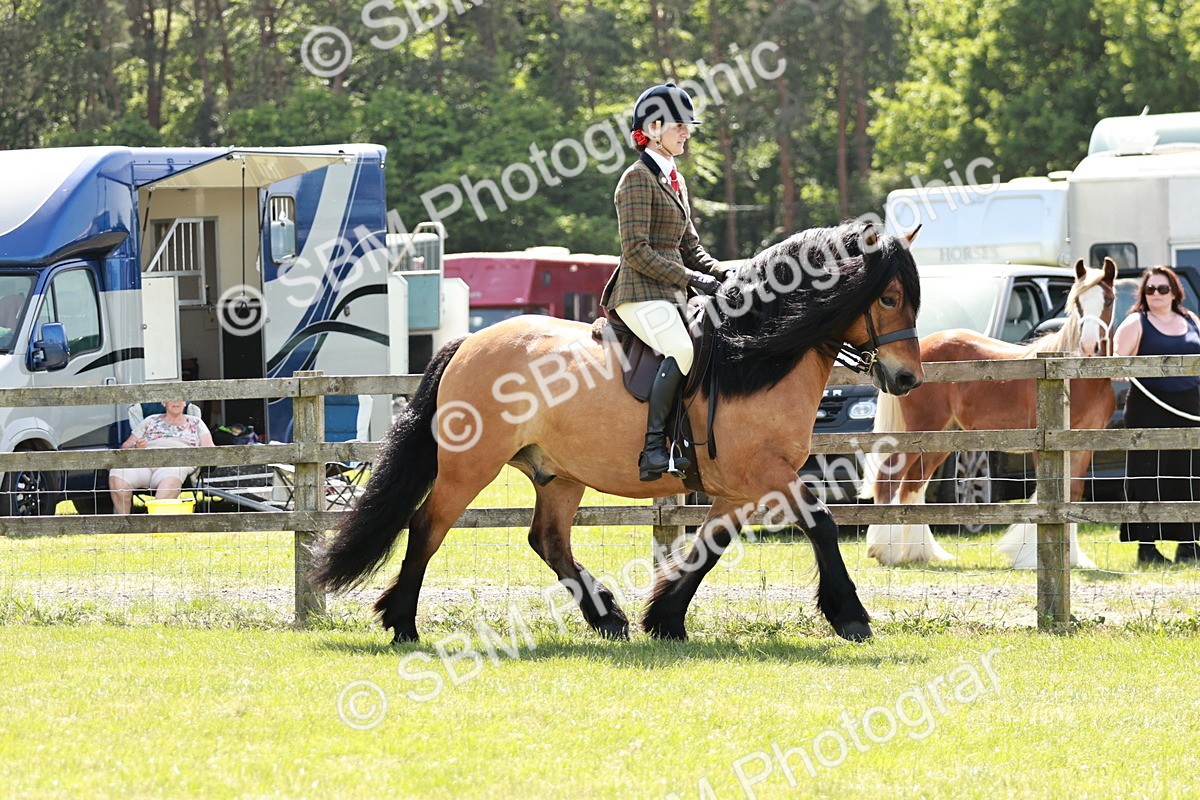 SBM_07041 - Class 26-30 - Mountain and Moorland Ridden