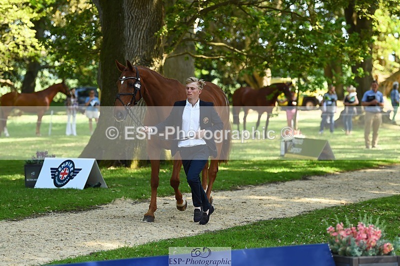 230524-160854-00714 - 251-CLASS_MOVE-Ellie_Healy-WEDTrotUp+DR