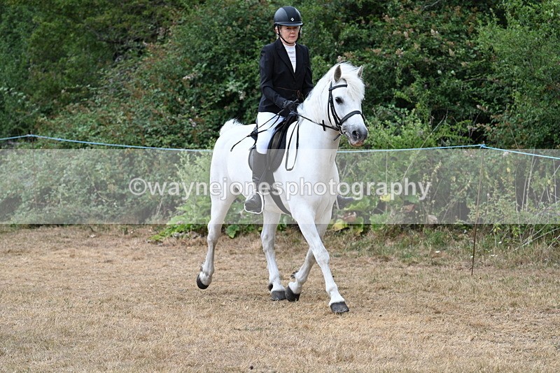 WJ7_0396 - Class 6 Ridden Mountain and Moorland