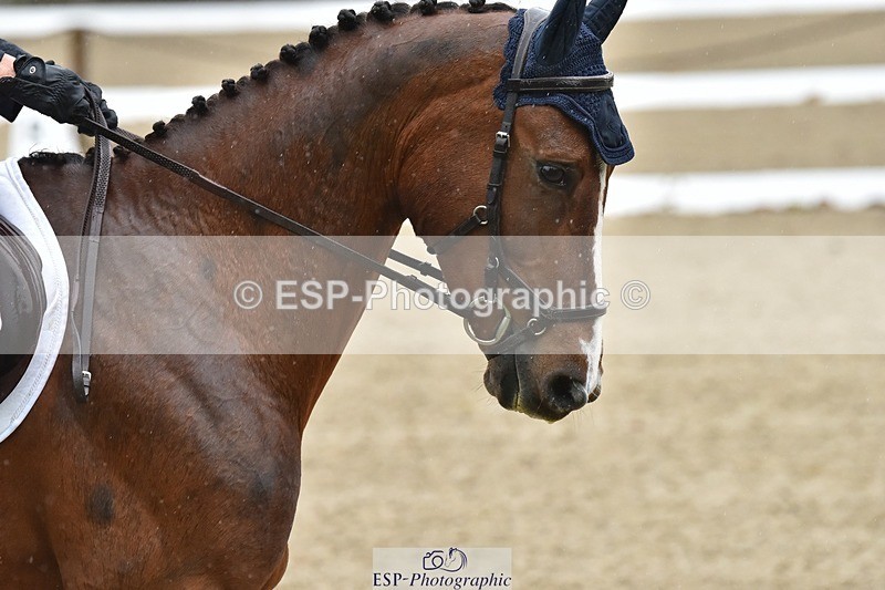 231018-143456-00601 - 002-CHILLI.BILL-Alicia.Wilkinson-DR