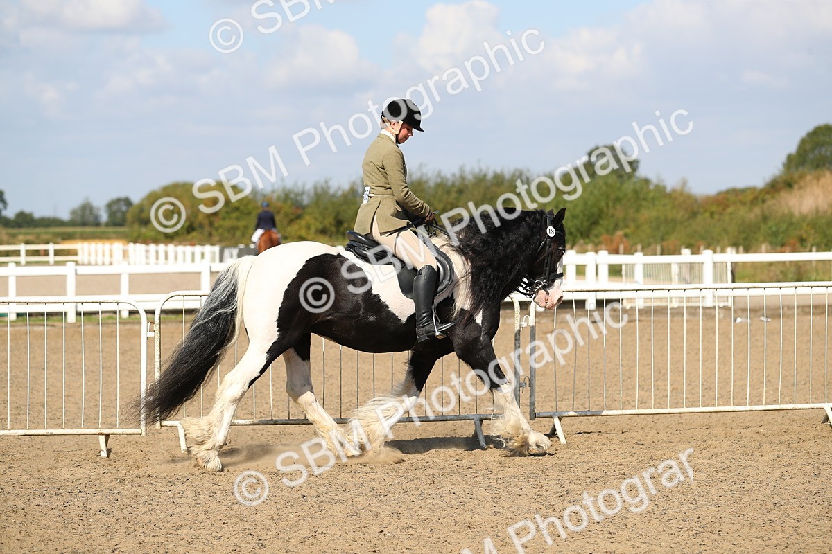 SBM_03118 - Class 44 Riding Club Horse/ Pony
