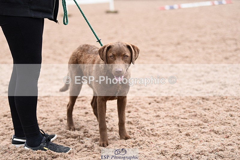 240518A-112002-00742 - Cls 1 Cutest Puppy