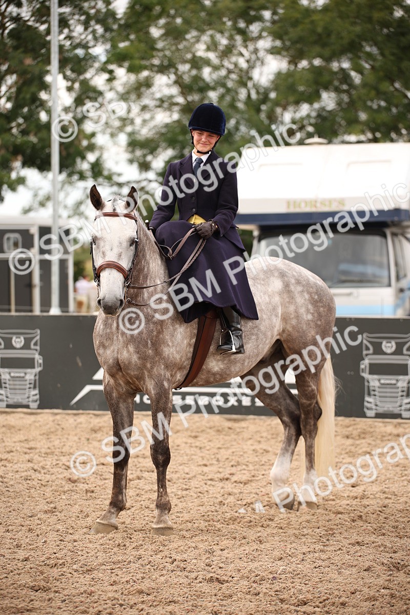 SBM_05414 - Class 22 SSA Equitation