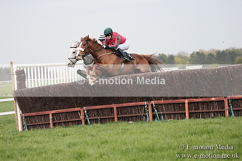 PtP 210418 281 - South & West Wilts Point-to-Point Larkhill 21/04/18