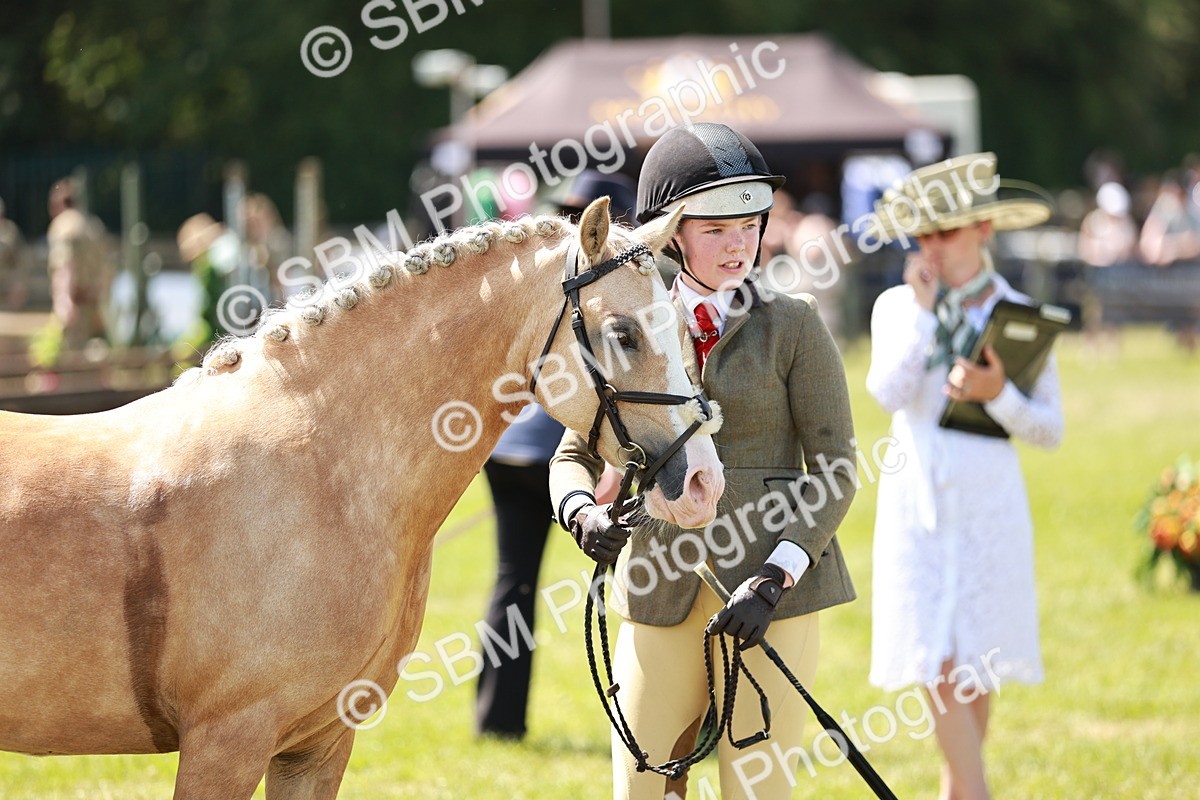 SBM_15703 - Class 108-109 - BSPS LIHS Open Gradle & Nursery Stakes