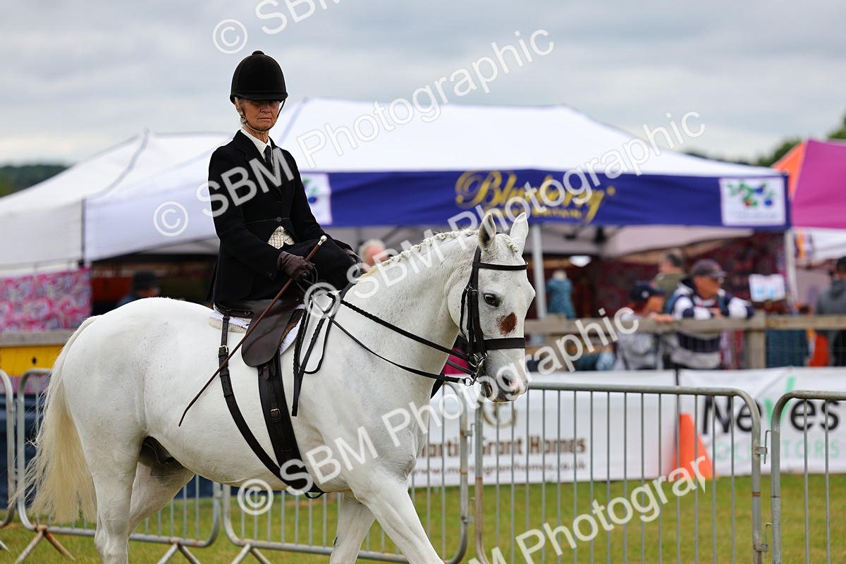 SBM_02859 - Class 9-11 Side Saddle including LIHS Rising Star Ladies Show Horse