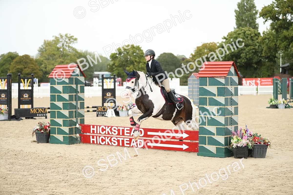 SBM_34358 - J60 Clear Round 50cm