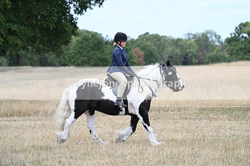 WJ7_4796 - Class 12 Ridden Cob