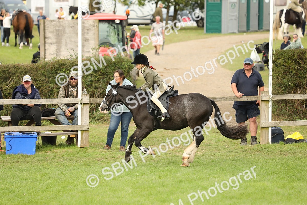 SBM_71593 - S41 - Ridden Equitation (Best Rider)