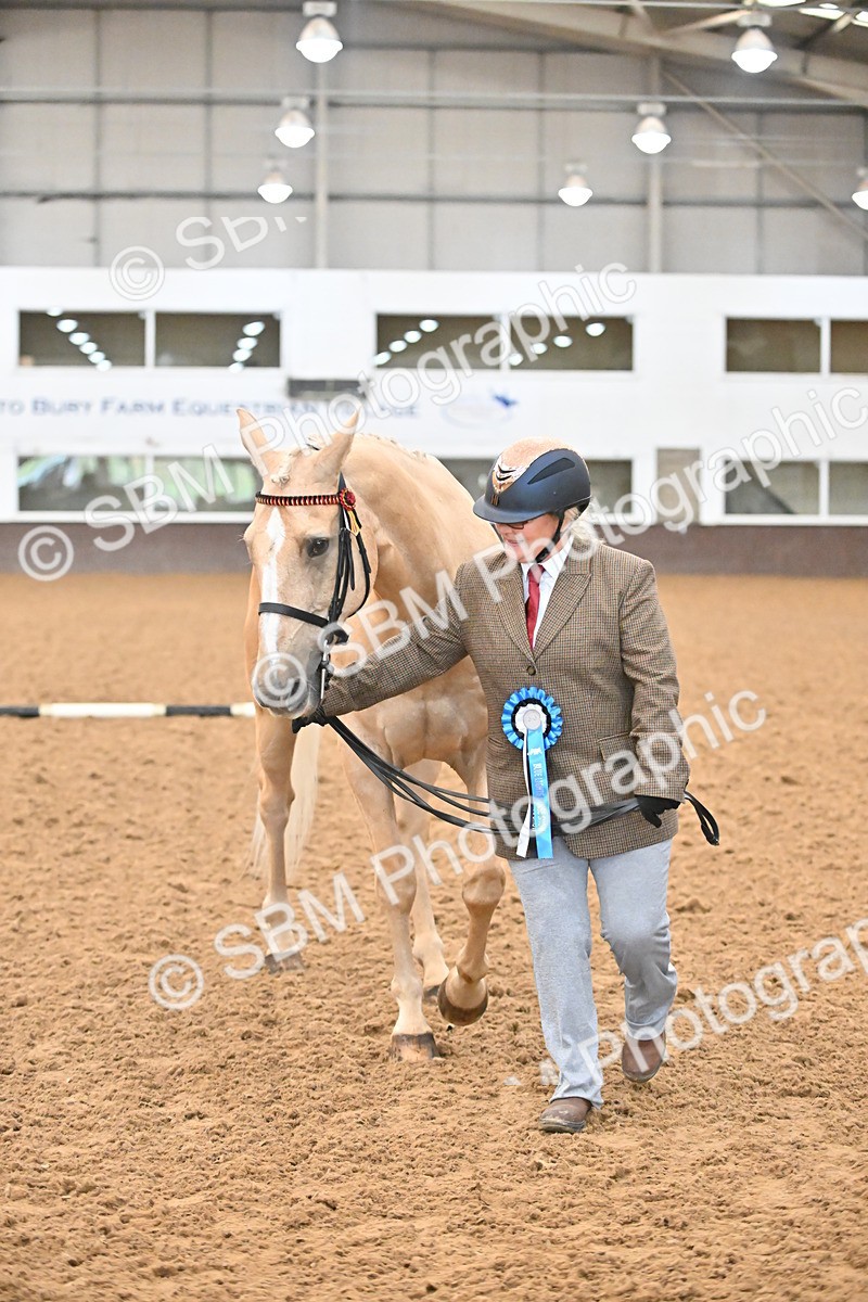 EB7_8445 - Class 3 - In Hand Foreign Breeds & Warmbloods