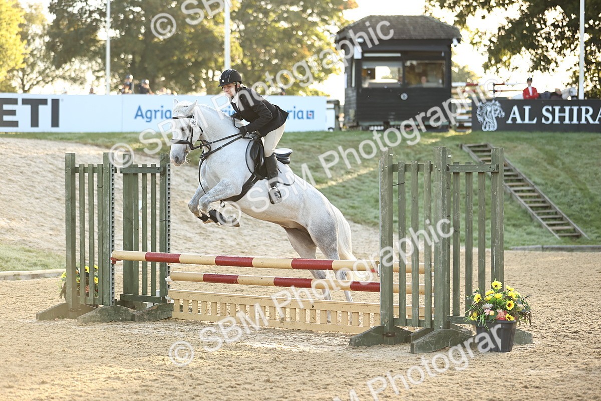 SBM_32911 - J38 - Senior 80cm Championship