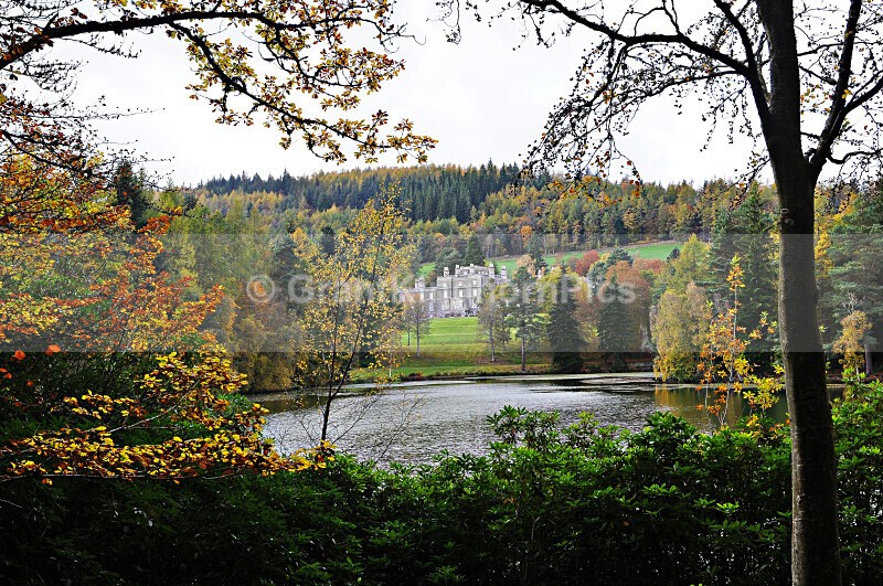 8 - Autumn around Selkirk