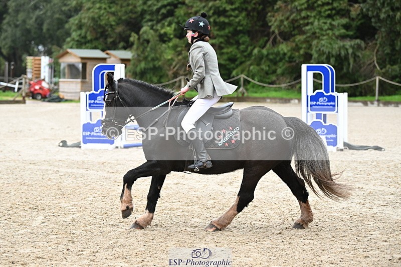 250418A-081313-00047 - NSEA GR 40cm and 50cm