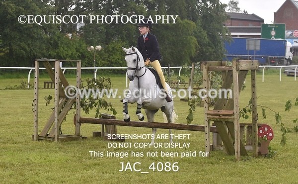 JAC_4086 - 40CM WORKING HUNTER