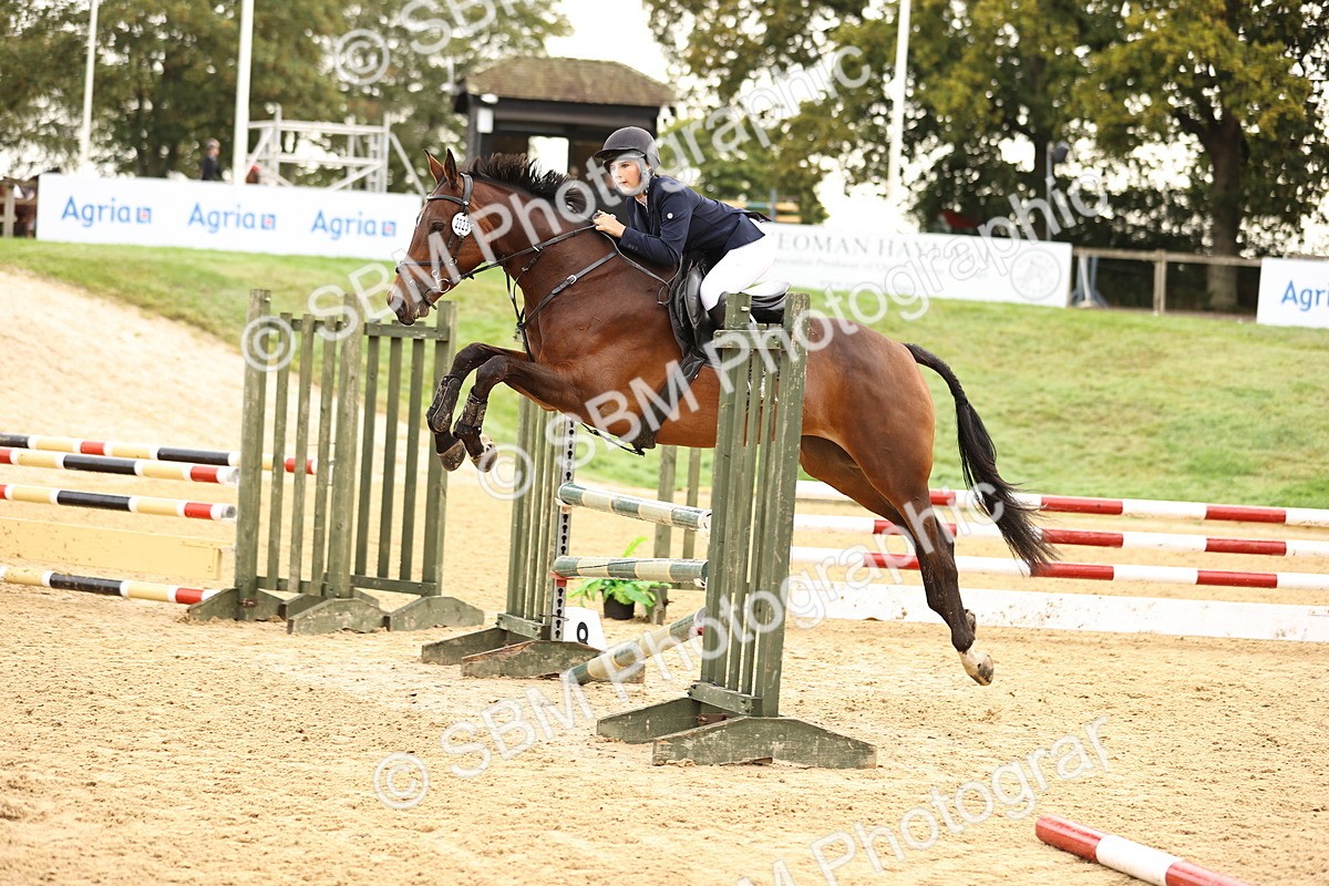 SBM_58372 - J41 - Grand Tour Horse & Pony 95cm