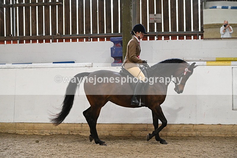 WJ7_4484 - Afternoon Champs