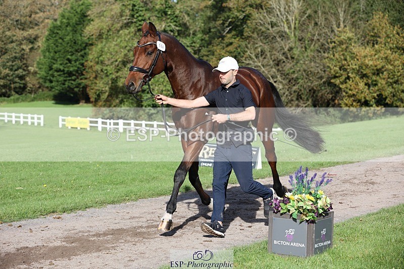 241027-103112-15940 - 584-Tommy.Greengard-I'M.ALL.IN