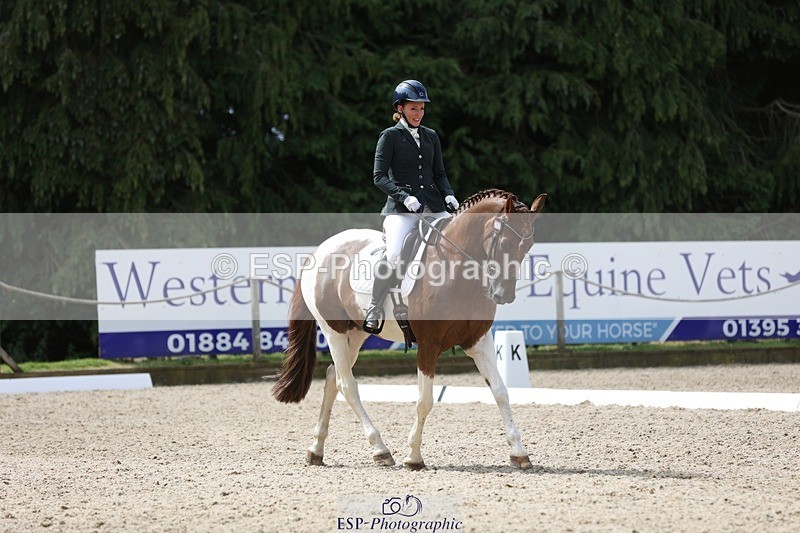 230812-121550-03972 - Cls 5 Novice Bronze 11.15 to 12.50 break