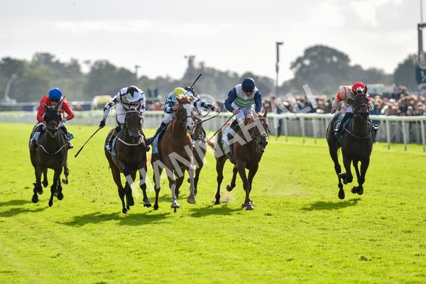 141023-Race 2-Whiskey Pete-0760 - Race 2 1.50pm Play Coral 'Racing-Super-Series' For Free Nursery Handicap