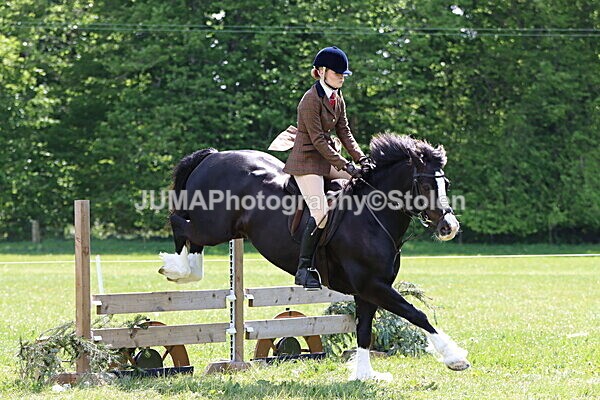 IMG_3717 - Working Hunter