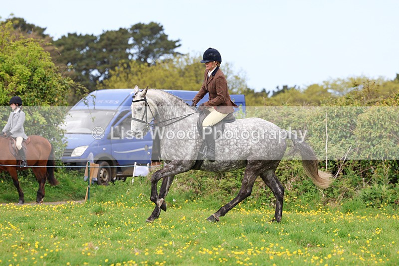 3E7A1285 - Class 7: Ridden Hunter Type