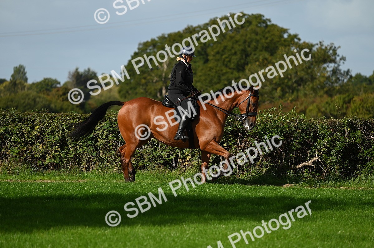 SBM_01336 - S2 - TSR Ridden Horse Showing