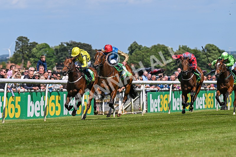 080624-Race 3-Shareholder-1010 - Race 3