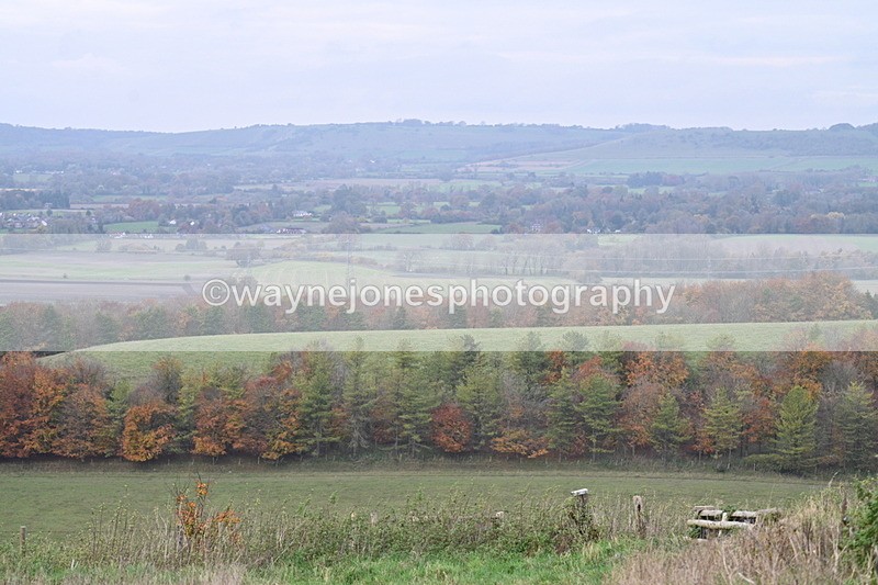 WJ7_9689 - Camera 1 & Last fence