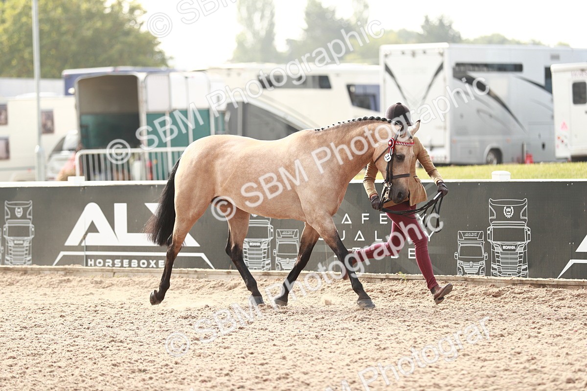 SBM_10521 - Class 204 Young Handler, 11-16 years