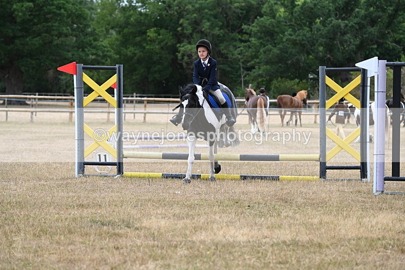 WJ6_9391 - Class 12 Minimus Jumping 45cm
