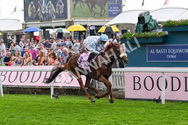 170524-Race 4-Giavellotto-8101 - Race 4 3.45pm Boodles Yorkshire Cup Stakes
