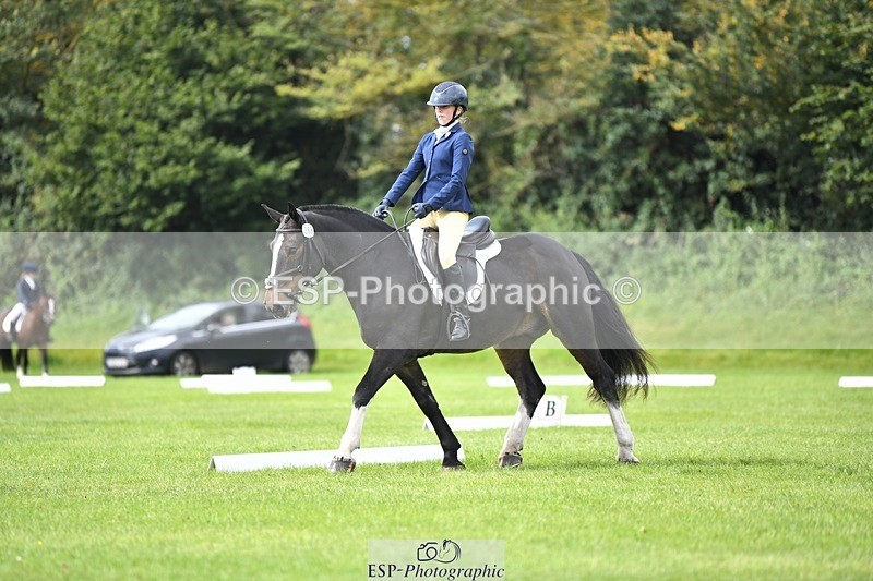 230826-112024-15828 - Sections C & D 10 to End