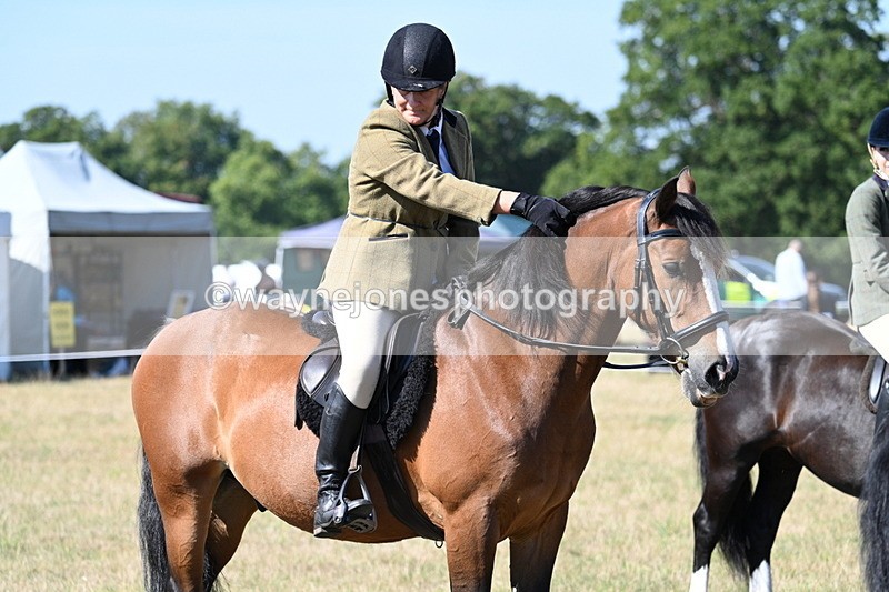 WJ7_3832 - Class 9 Mountain & Moorland Ridden